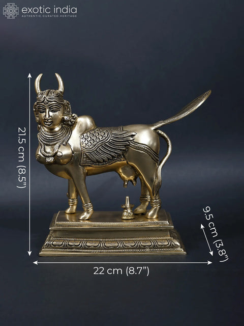 8" Brass Kamadhenu Cow Doing Abhisheka of Shiva Linga with Her Milk