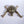 7" Tortoise with Outstretched Limbs | Brass Sculpture