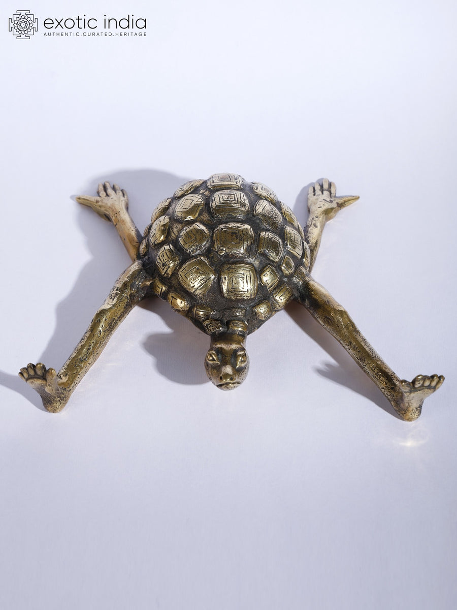 7" Brass Tortoise with Outstretched Limbs Sculpture