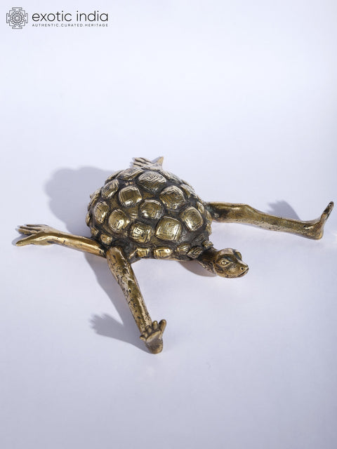 7" Tortoise with Outstretched Limbs | Brass Sculpture