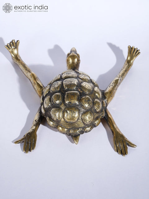7" Tortoise with Outstretched Limbs | Brass Sculpture