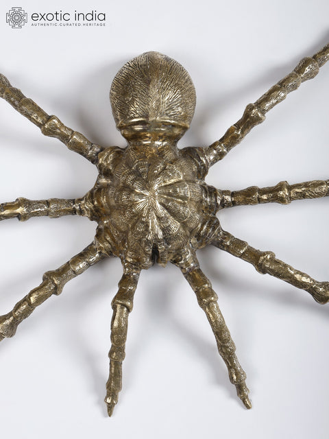 25" Wall Hanging Spider in Brass | Wall Hanging | Home Decor
