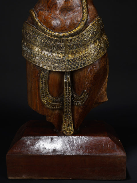 Lady Torso