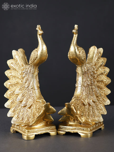 9" Pair of Peacocks | Brass Statues