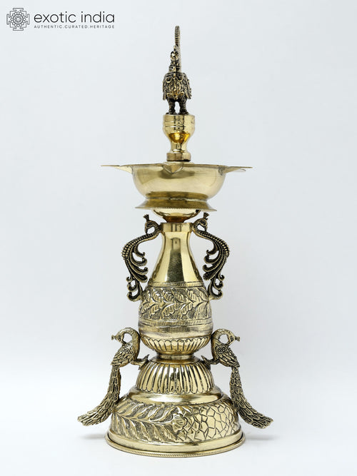 11" Brass Five Wick Peacock Designer Lamp for Home Decor