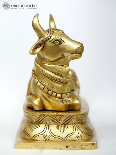 10" Nandi - Vahana of Lord Shiva | Brass Statue