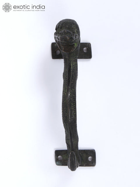5" Dragon Door Handle in Brass