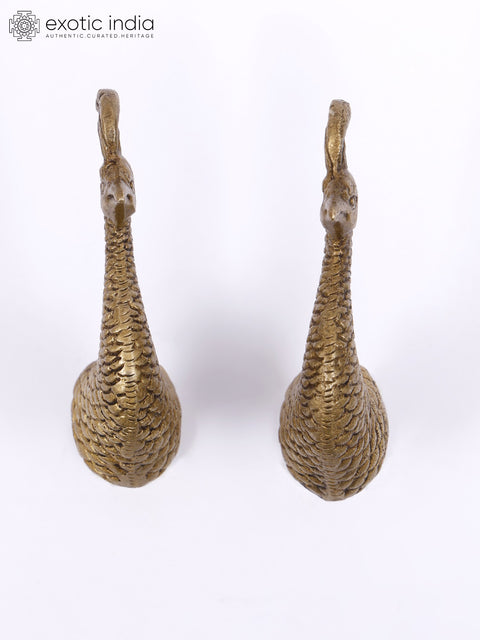 3" Peacock Design Door Knobs in Pair