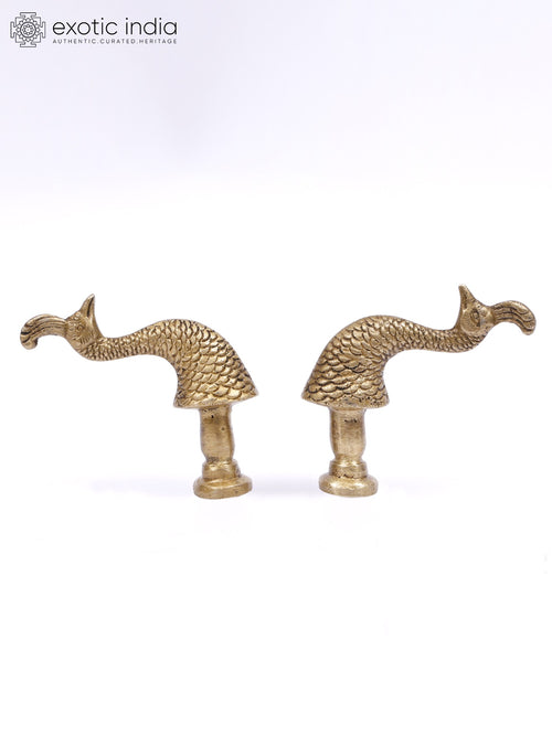 3" Peacock Design Brass Door Knobs in Pair