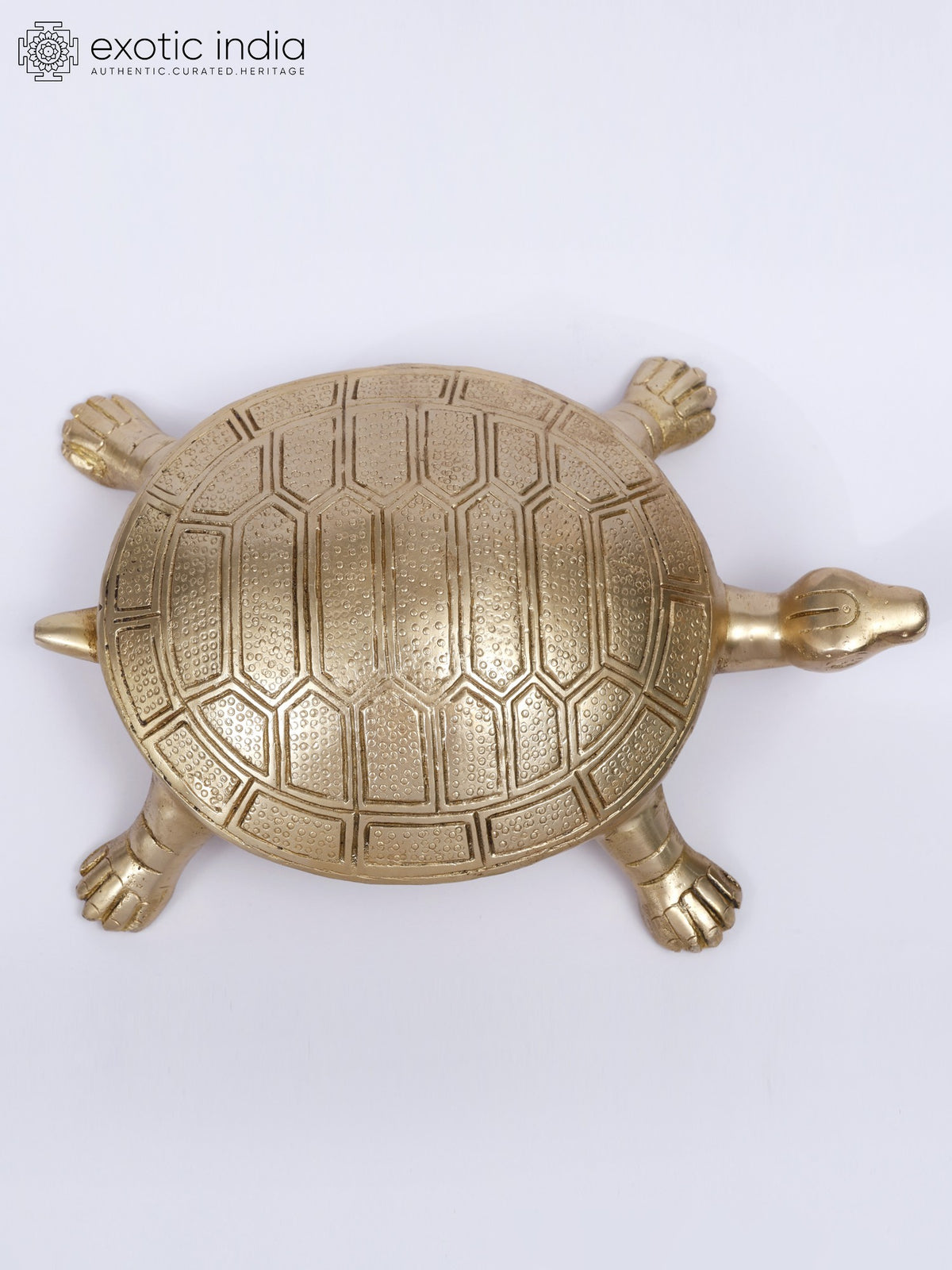 10" Vastu Tortoise Brass Statue for Home Decor