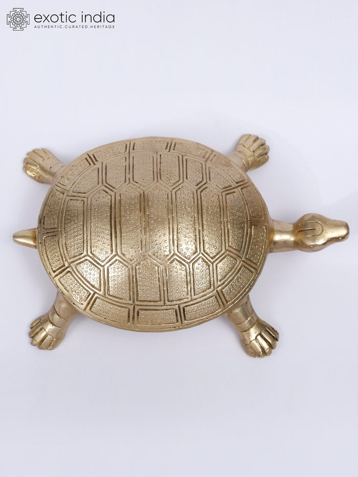 10" Vastu Tortoise Brass Statue for Home Decor