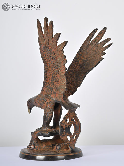 14" Brass Eagle Statue | Decorative Showpiece