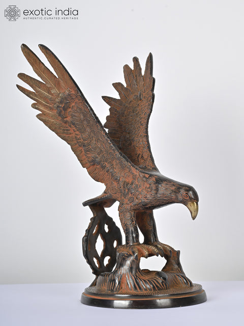 14" Brass Eagle Statue | Decorative Showpiece