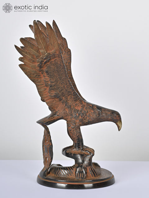 14" Brass Eagle Statue | Decorative Showpiece