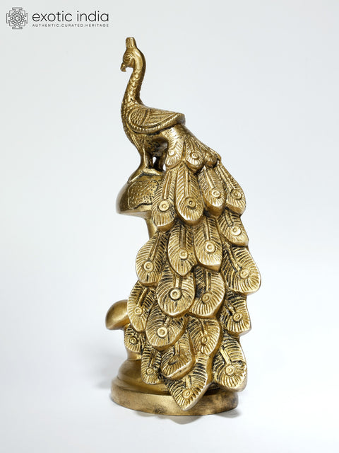 8" Peacock with Beautiful Long Tail | Brass Statue