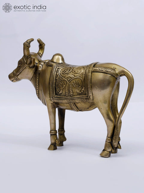 9" Standing Nandi (Vehicle of Lord Shiva) | Brass Statue