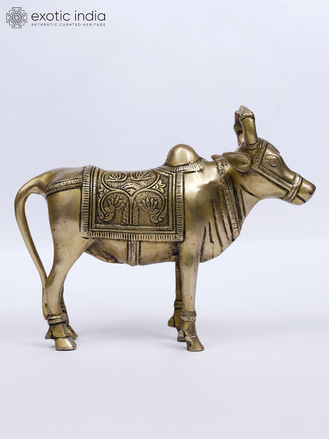 9" Standing Nandi (Vehicle of Lord Shiva) | Brass Statue