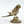 Superfine Decorative Parrot | Brass Statue | Table Decor