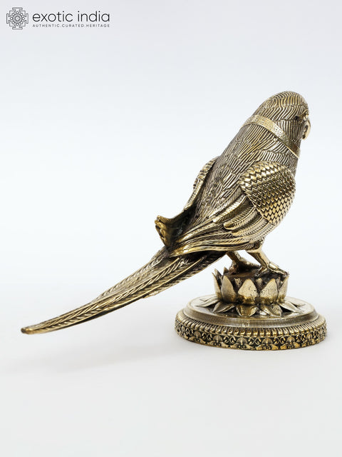 Superfine Decorative Parrot | Brass Statue | Table Decor
