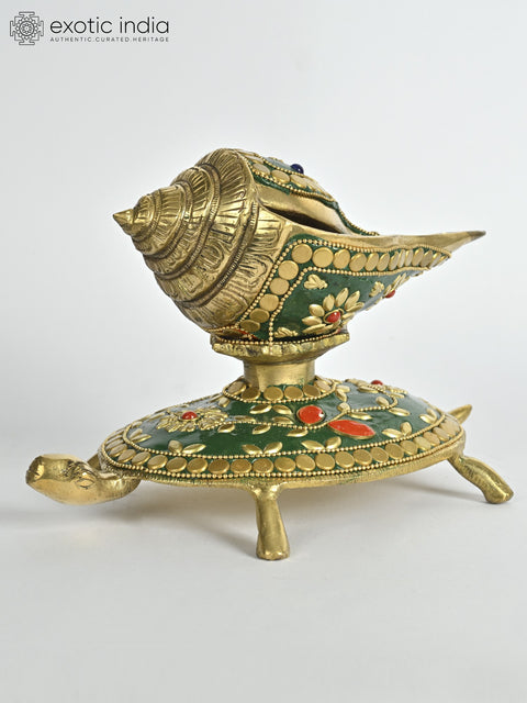 7" Conch on Tortoise | Brass with Inlay