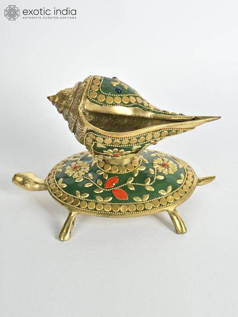7" Conch on Tortoise | Brass with Inlay
