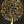 38" Tree of Life | Wall Hanging