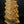 52" Large Set of Five Abhishek Patras in Brass