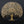 80" Super Large Brass Tree of Life with Chirping Birds