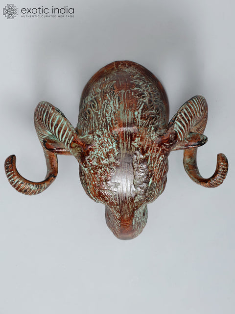 9" Brass Sheep Head | Wall Hanging