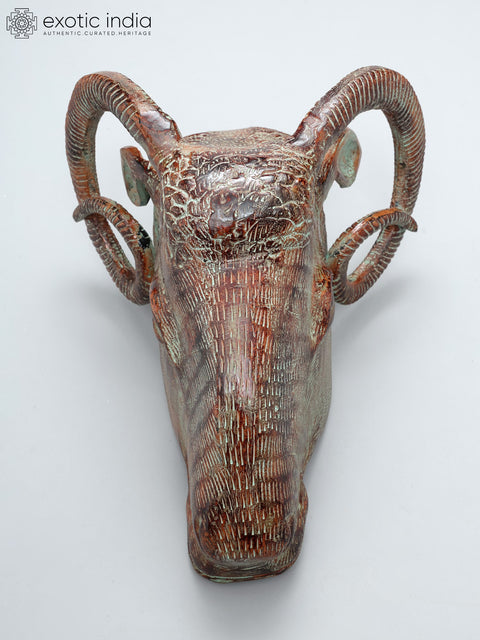 15" Sheep Head in Brass | Wall Hanging