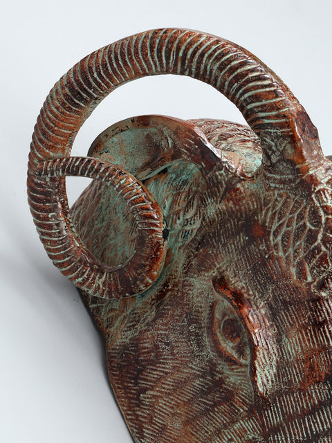 15" Sheep Head in Brass | Wall Hanging