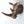 18" Rhinoceros Wall Hanging Head | Home Decor