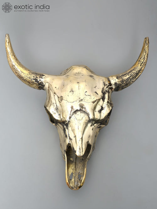 24" Brass Buffalo Skull Wall Hanging for Home Decor