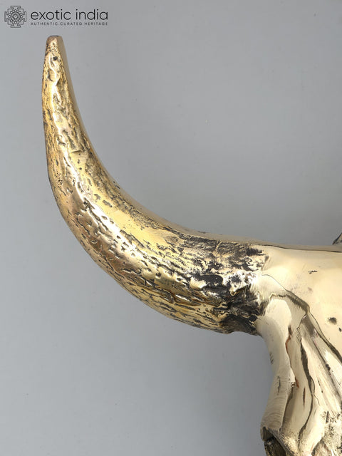 24" Brass Buffalo Skull | Wall Hanging | Home Decor
