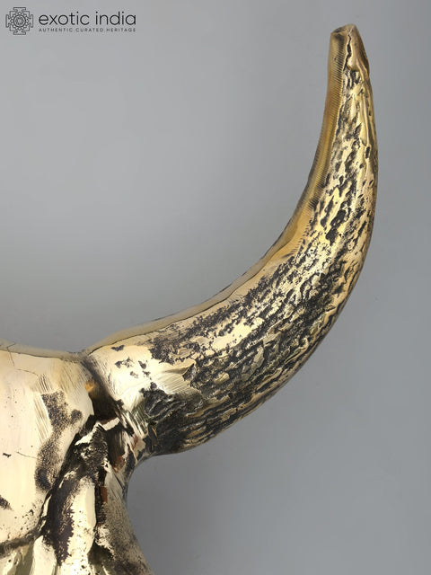 24" Brass Buffalo Skull | Wall Hanging | Home Decor