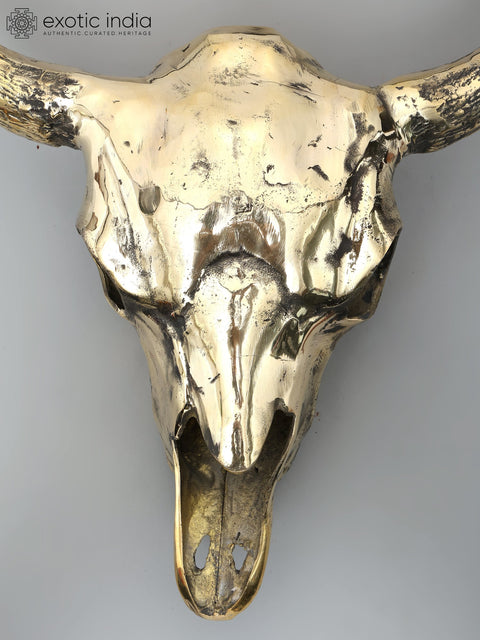 24" Brass Buffalo Skull | Wall Hanging | Home Decor