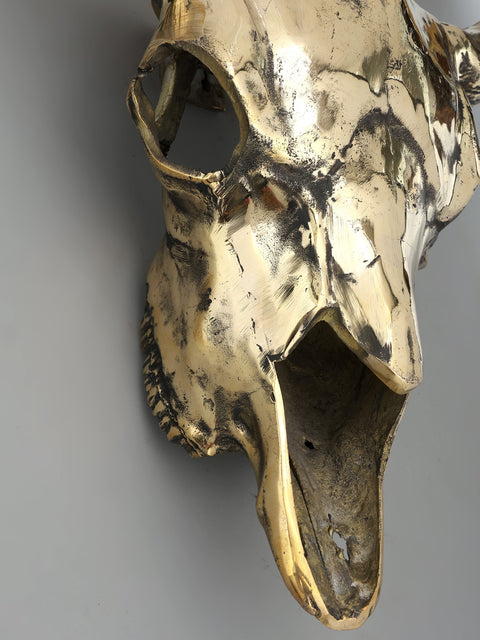 24" Brass Buffalo Skull | Wall Hanging | Home Decor