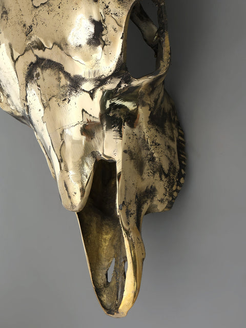 24" Brass Buffalo Skull | Wall Hanging | Home Decor