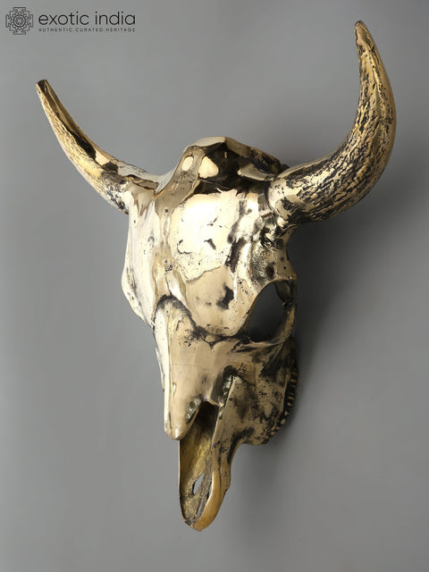 24" Brass Buffalo Skull | Wall Hanging | Home Decor