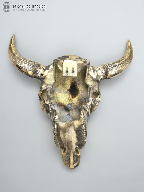 24" Brass Buffalo Skull | Wall Hanging | Home Decor