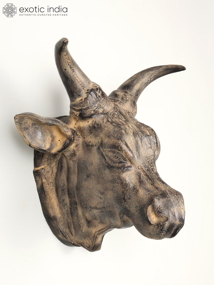 19" Brass Fighting Bull Head Wall Hanging for Home Decor