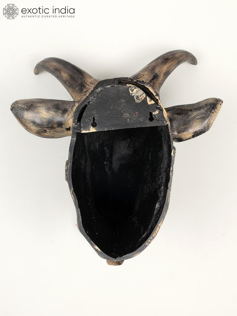 19" Brass Fighting Bull Head | Wall Hanging | Home Decor