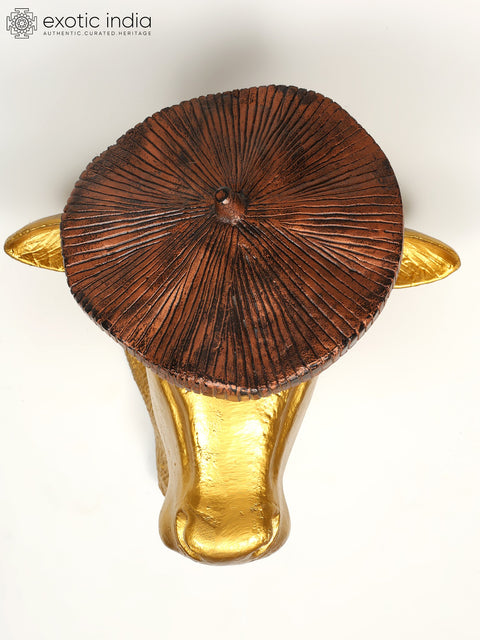 19" Brass Stylish Cow Head | Wall Hanging | Home Decor