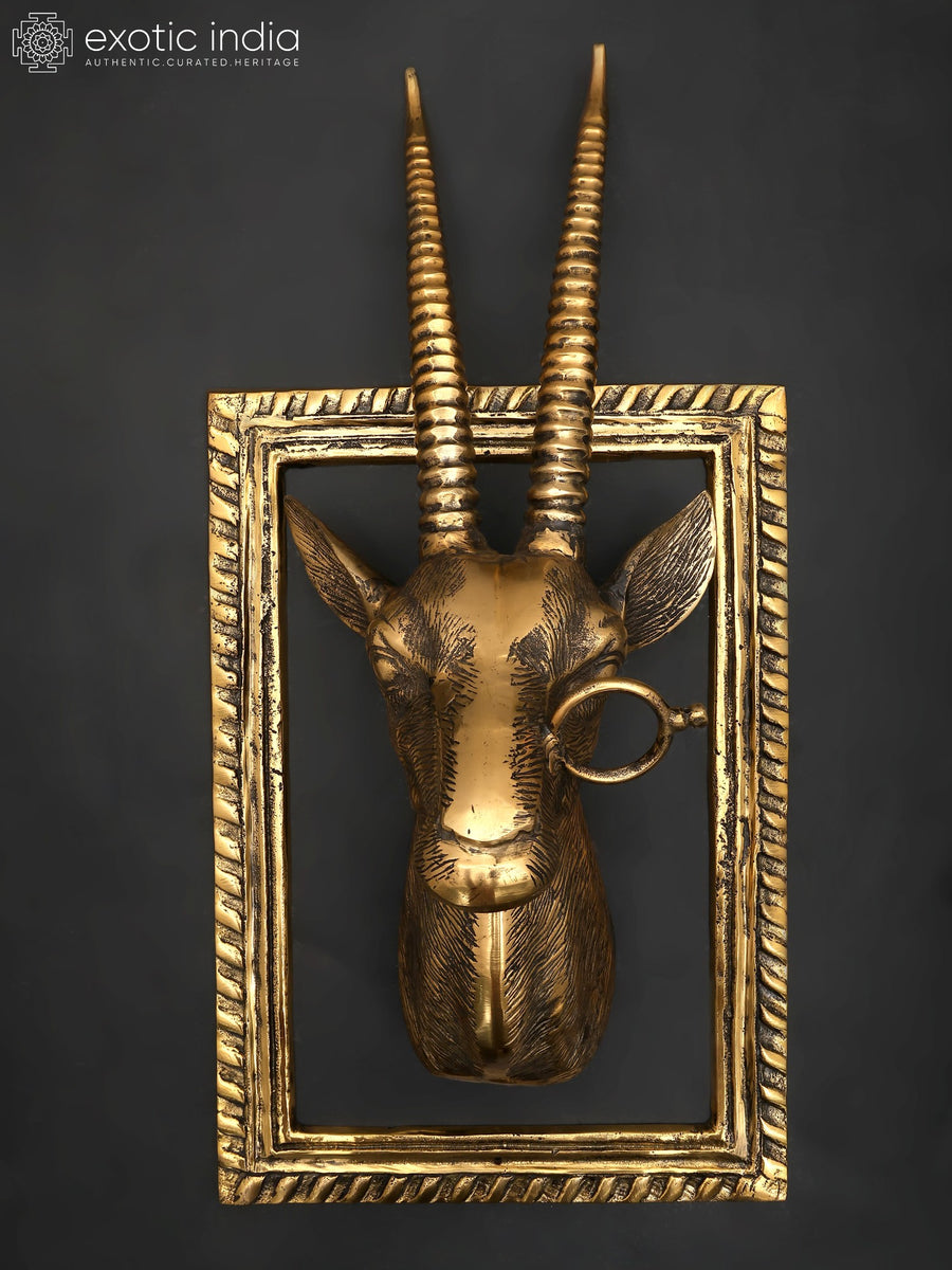 23" Brass Deer Head Wall Hanging with Frame for Home Decor