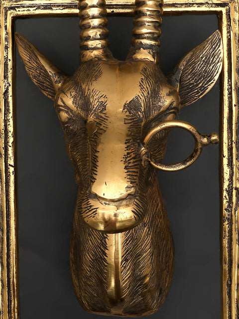 23" Brass Stylish Deer Head with Frame | Wall Hanging | Home Decor