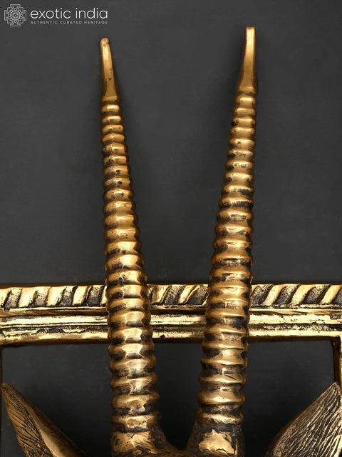 23" Brass Stylish Deer Head with Frame | Wall Hanging | Home Decor