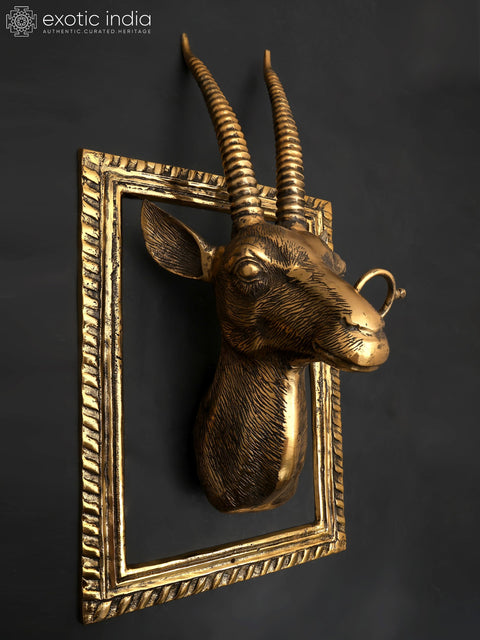 23" Brass Stylish Deer Head with Frame | Wall Hanging | Home Decor