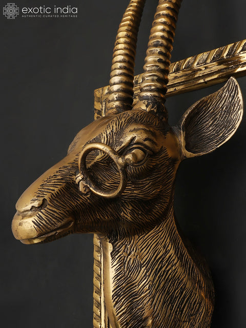 23" Brass Stylish Deer Head with Frame | Wall Hanging | Home Decor