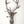 43" Brass Modern Deer Statue | Wall Hanging | Home Decor