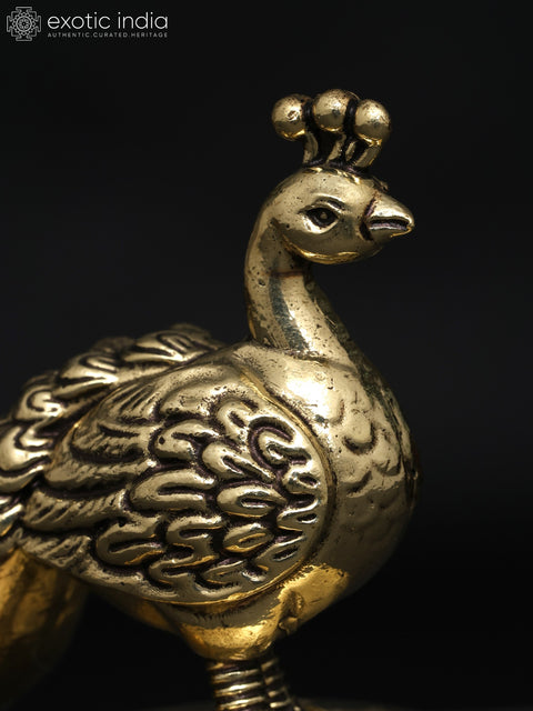 2" Small Superfine Peacock (Annam) Statue in Brass